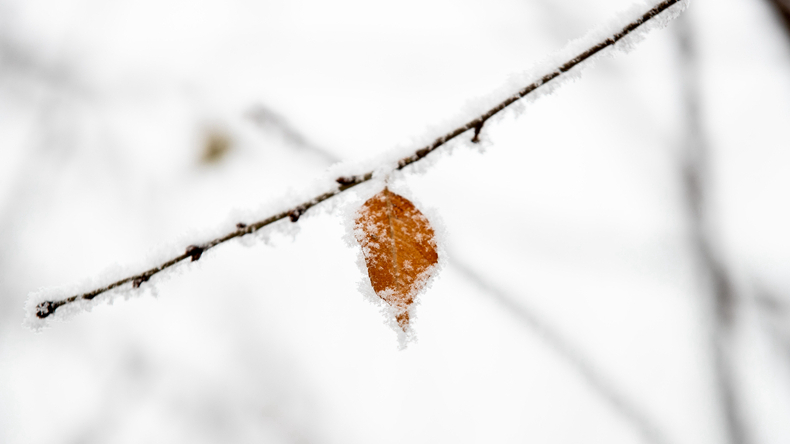 美呆了！雪后的雄安！