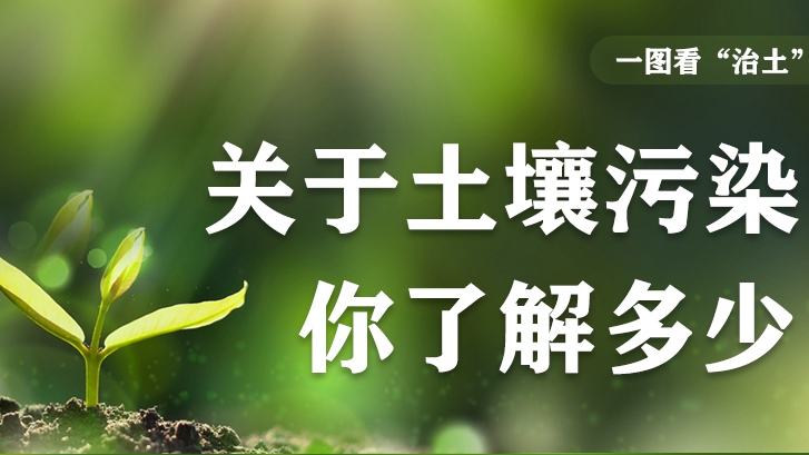 一圖看“治土”丨關于土壤污染，你了解多少