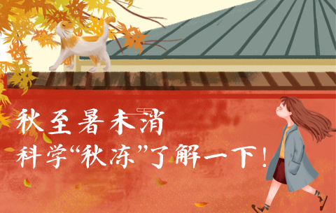 秋至暑未消，科學“秋凍”了解一下！