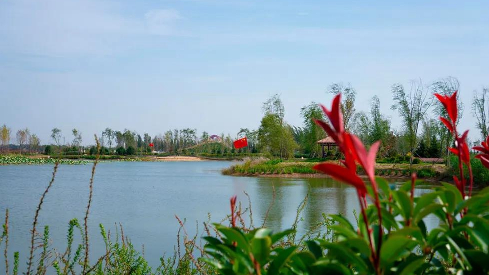 歡度國慶丨美在雄安，打卡天鵝湖公園！