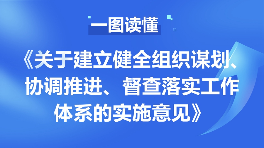 一圖讀懂《關(guān)于建立健全組織謀劃、協(xié)調(diào)推進(jìn)、督查落實工作體系的實施意見》